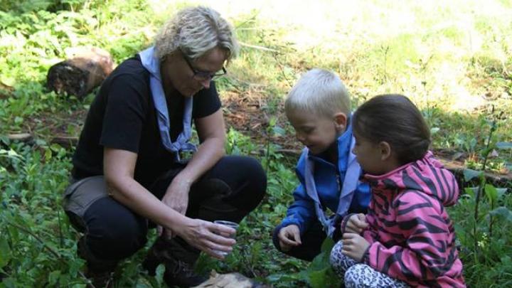 Familiespejdere i naturen